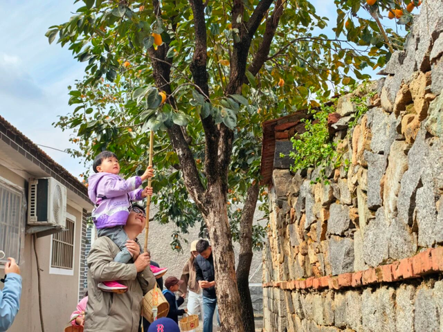 青岛赏秋去哪里？这几个地方别错过！