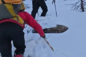 鳌太线失联小伙获救花费8万多元，救援人员：收费是为震慑单人穿越者图片