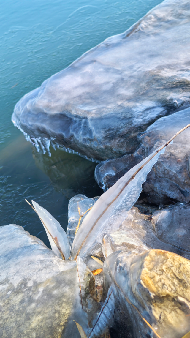 冬日颐和园：昆明湖冰裹树枝，宛如水晶雕塑