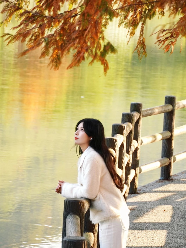 如画江西的冬日惊喜，是什么样子的？