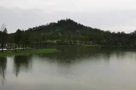 周末预约全满！申城又一处热门打卡地，上海人争相去爬→图片