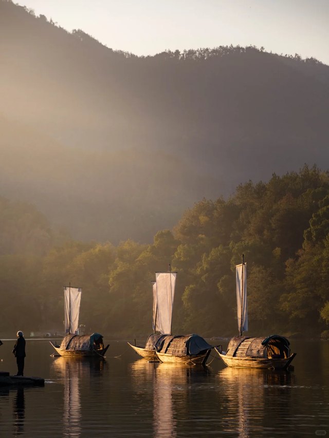 莲都人！免费！