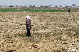 自家田地未经同意被人挖掘毁坏？合肥肥东一地村民遭遇闹心事图片