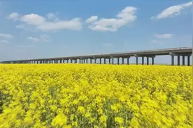 安徽：春日旅游持续升温 新场景激发消费新活力图片