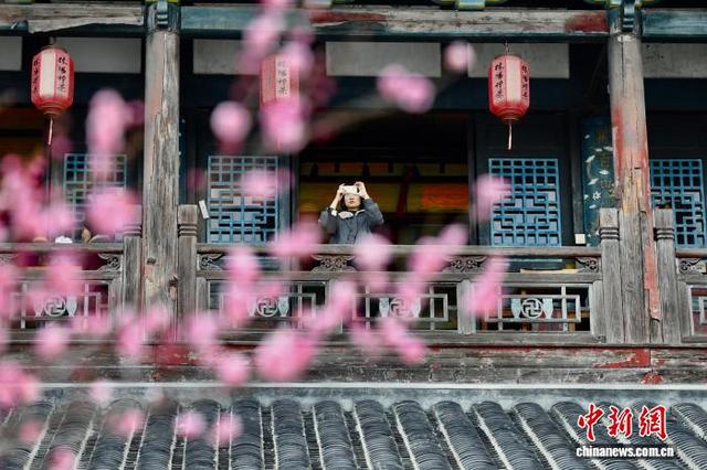 福州千年古刹梅香满枝