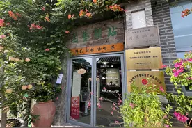 东四胡同办起盆景展，居民家门口赏奇石美景图片