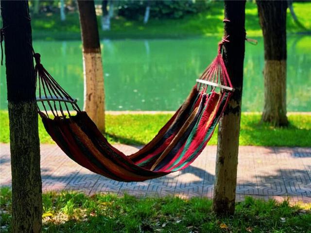 摩根PARK  不一样的躺平计划
