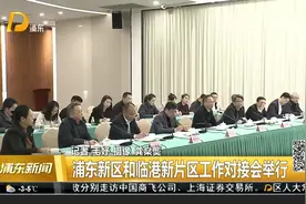 浦东新区和临港新片区工作对接会举行视频封面