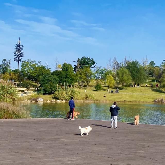 新津人速藏！冬日公园晒太阳的神仙去处