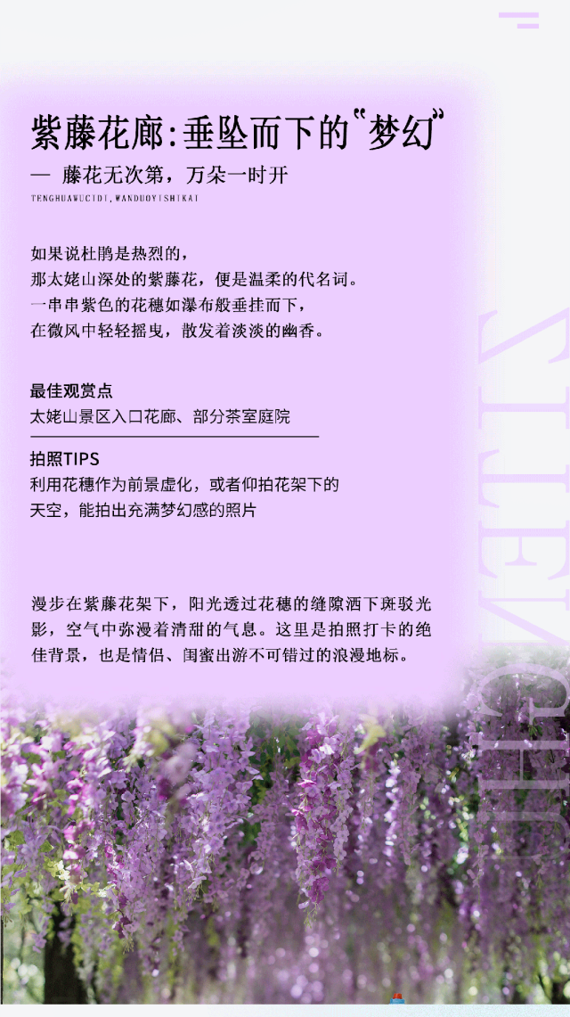 别辜负春天！4月宁德1景区进入颜值巅峰！快来赏花~