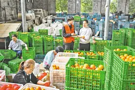 “90后”“00后”新农人的乡村振兴实践图片