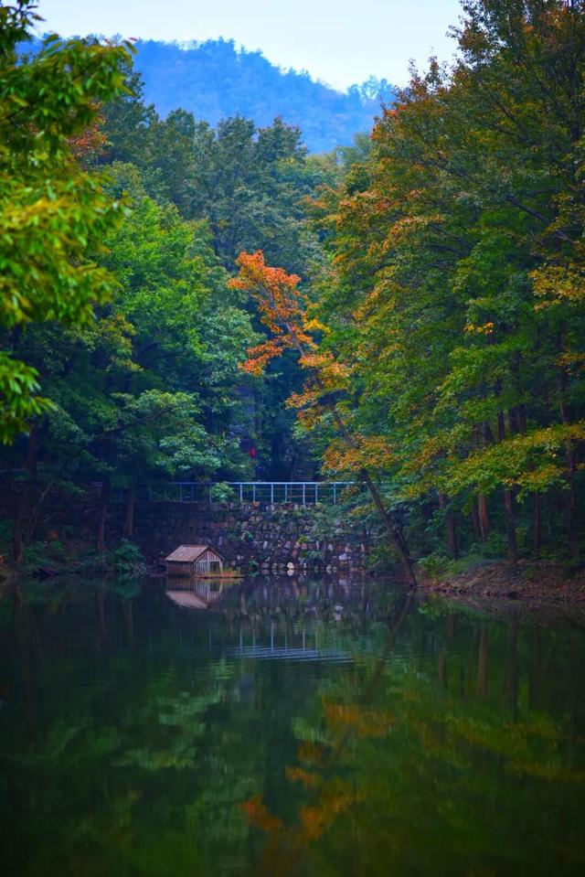 今日浓度50%！巢湖人都懂