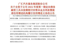 10亿元！A股退市公司子公司债券违约！图片