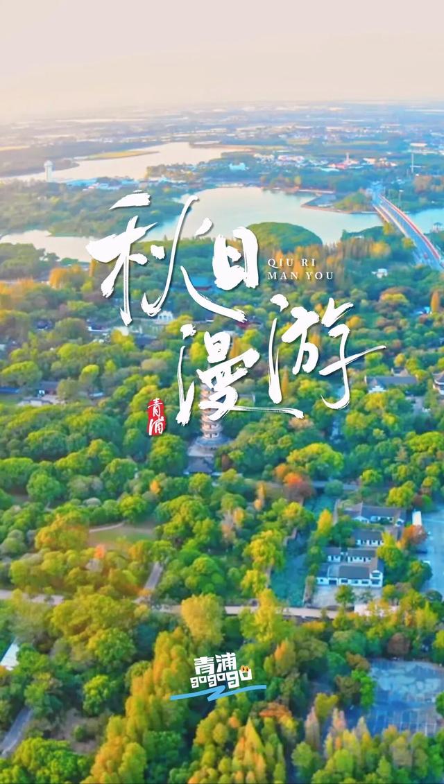 青浦出发！美到窒息，这条长三角秋游线太绝啦～