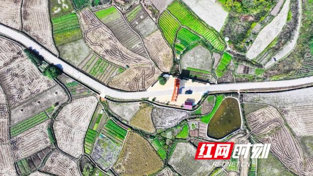 湖南新田：大地“指纹”美如画