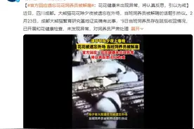 花花被遗忘外场 饲养员被解雇 花花健康检查未发现异常图片