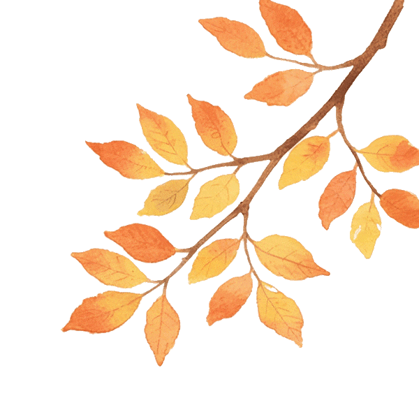 这个元旦假期，把时光“浪费”在秦淮最美的园子里~