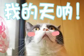 已确诊！癌症晚期！只因身上一颗痣……图片