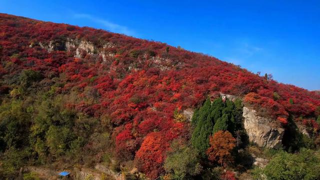 国庆假期不远游，诗画文祖全都有！文祖全域旅游邀您共赴秋日奇遇！
