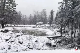 冷空气“刹拢”重庆！重庆各地迎来降雪图片