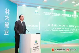 2024年橡胶木全球产业链创新发展对接会在邕召开图片