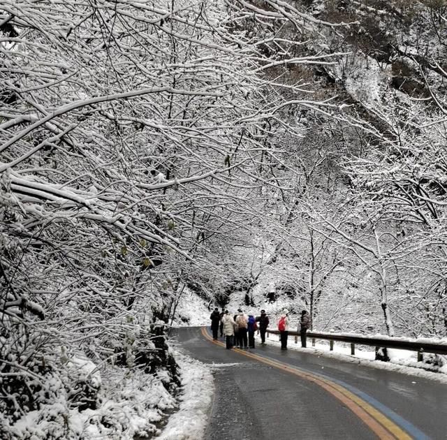 雪雪雪雪雪雪雪，邂逅太白山的冬日童话