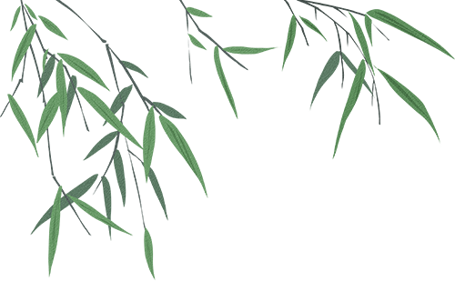 乐游绵阳 清凉一夏 ‖ 在安州的木质小馆里，藏着山水与醇香的邂逅