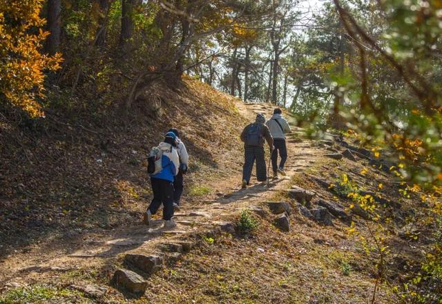 Hi走奉化③ | 拿下最高峰！蜘蛛岭古道虽累，但这秋色值了！