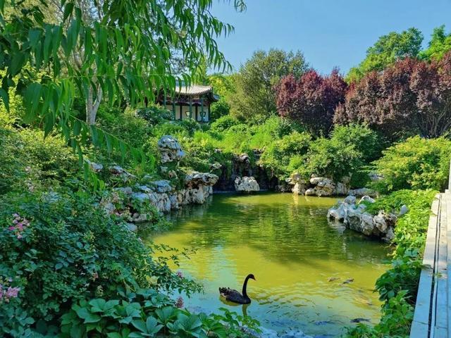 太精彩！北京夏日“室内遛娃天花板”来了！