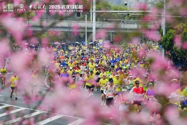 武汉樱花，花期为何越来越长？