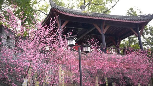 新都明城墙夜景升级！你来打卡没