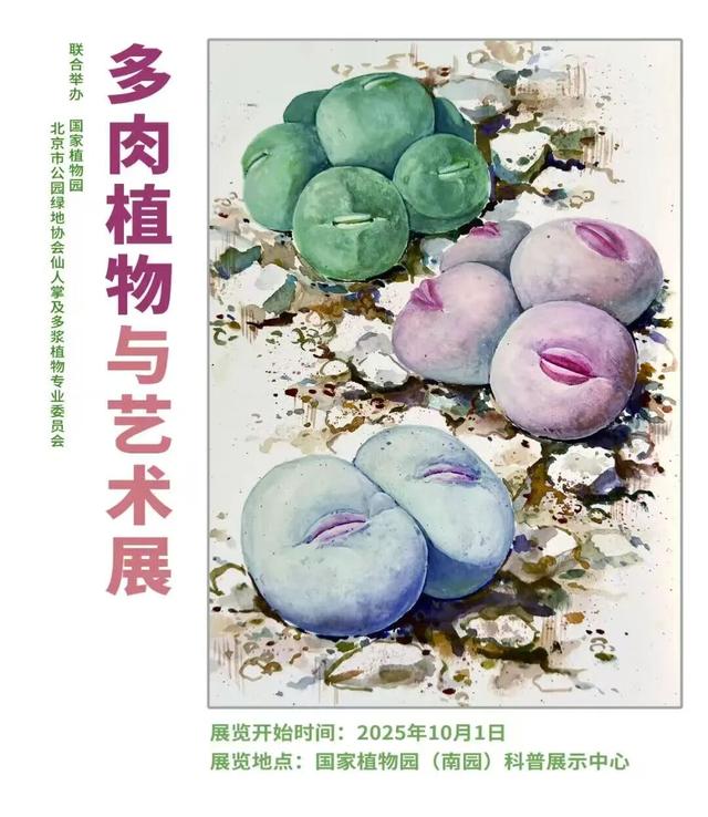 缤纷花事扮靓金秋！国家植物园假期游园攻略来啦