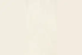 蝉：大自然的歌唱家，你了解多少？图片