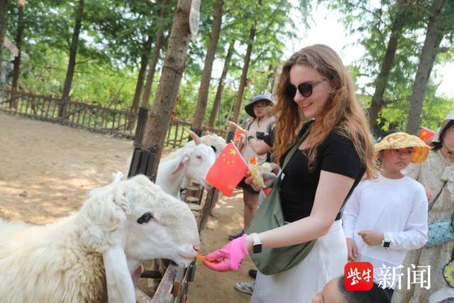 8天吸金13.65亿元！国庆中秋双节盐城文旅市场红火沸腾