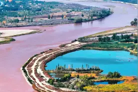 宁夏中卫：黄河畔 秋意浓图片