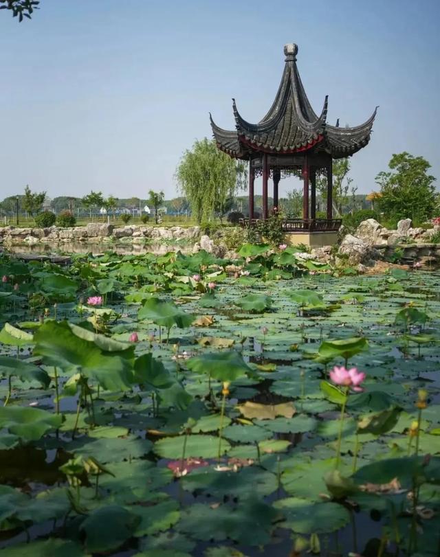 正式获批！无锡省级旅游度假区+1