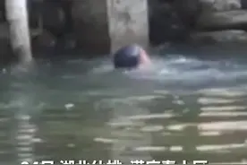 仙桃：挺身而出勇救落水儿童 善行义举传递正能量图片