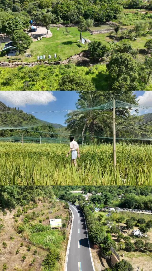 邂逅自然,安于野趣!闽侯营地上新,等你来野