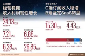 金山办公上半年营收24.13亿 WPS 365服务超18000家头部政企客户图片