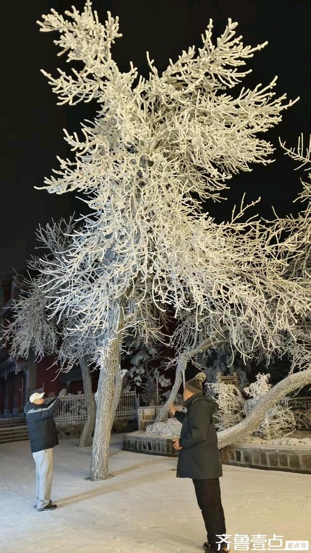 泰山雾凇的梦幻之夜