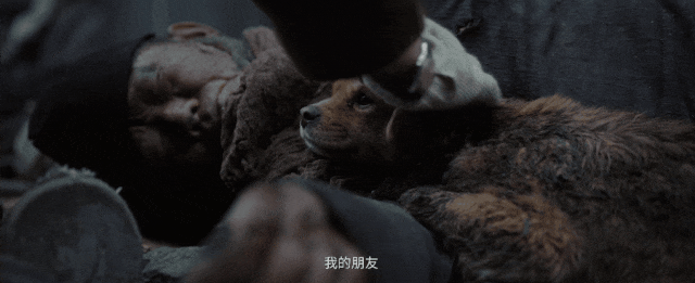 《南京照相馆》用罪证视角重述历史