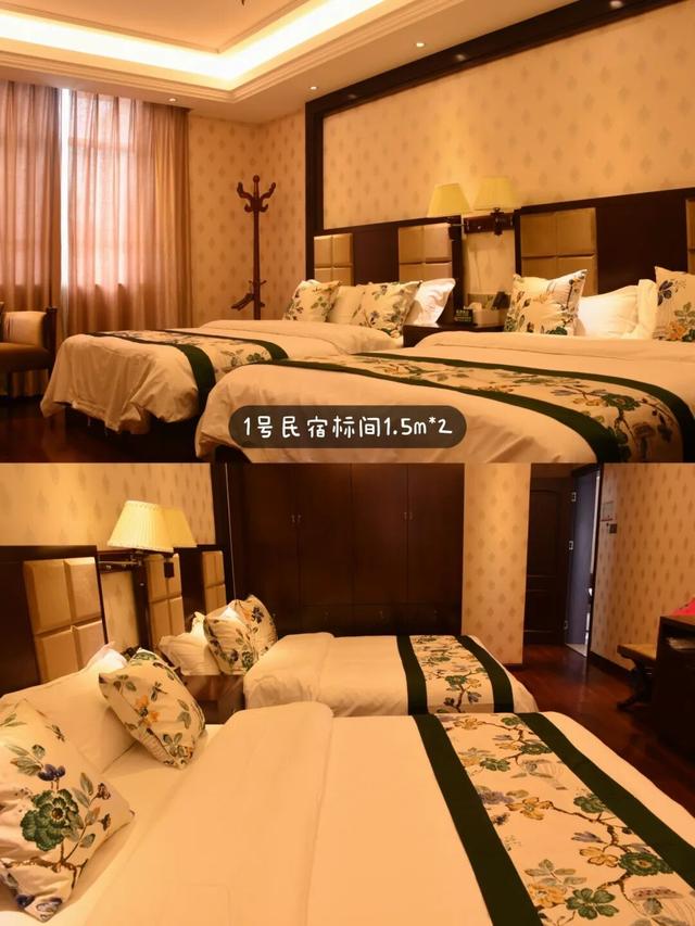 是时候回村了！来南宁共享田园慢生活，共赏万亩灯海