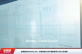 道恩股份(002838.SZ)：拟筹划重大资产重组事项10月29日停牌视频封面