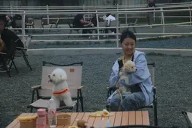 行走京津冀｜京津冀首家宠物森林公园落户燕郊镇图片