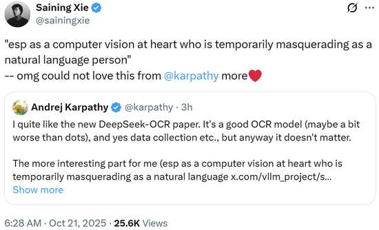 DeepSeek的新模型很疯狂：整个AI圈都在研究视觉路线，Karpathy不装了