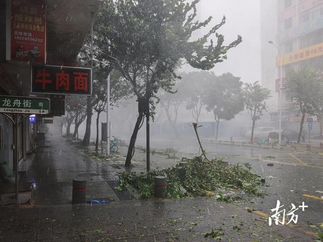 “桦加沙”过境后，珠海情侣路市民游客又多了起来｜一线直击