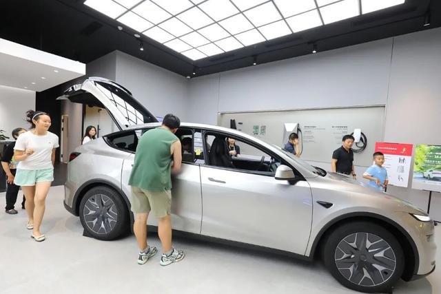 史上最便宜特斯拉，毛坯程度看笑中国车主