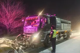 下雪了，好冷！但北方海南这座城，好暖！图片