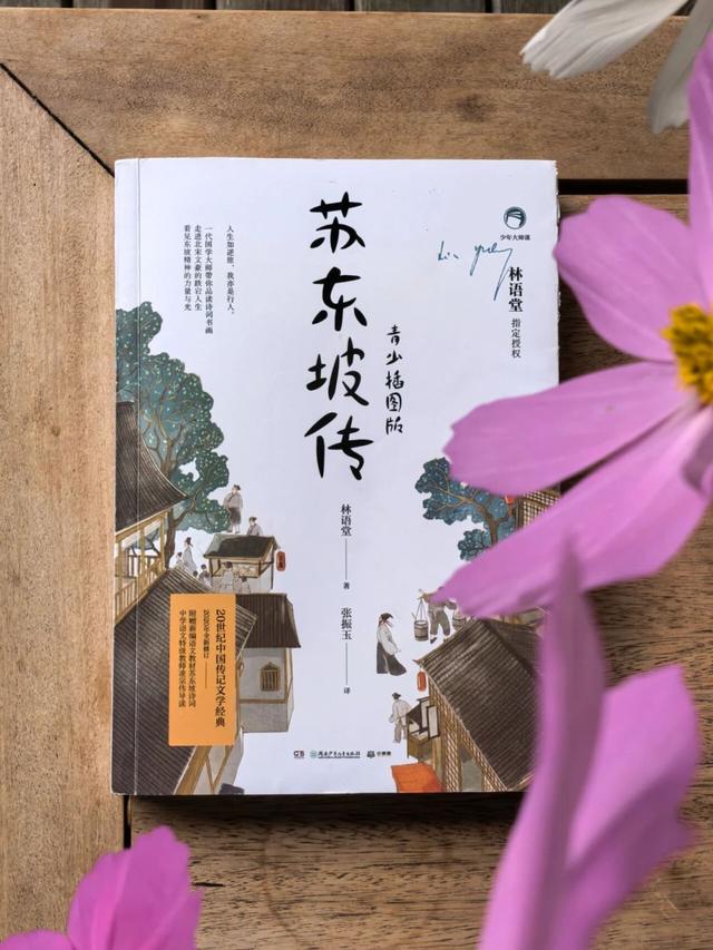 新华走笔｜东坡的魔方
