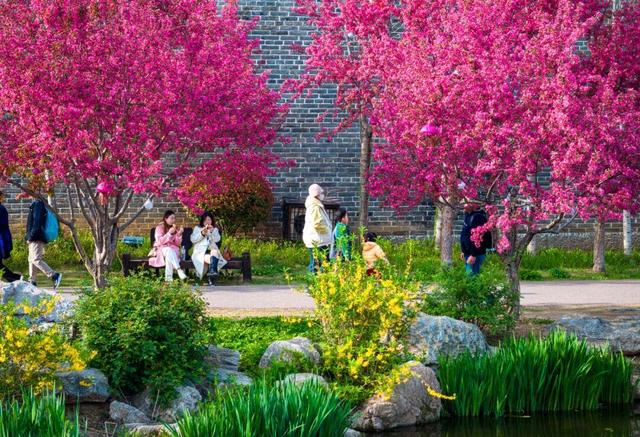 巨划算！冬游台儿庄古城，这份“买一送一”的跨年旅行攻略请收好